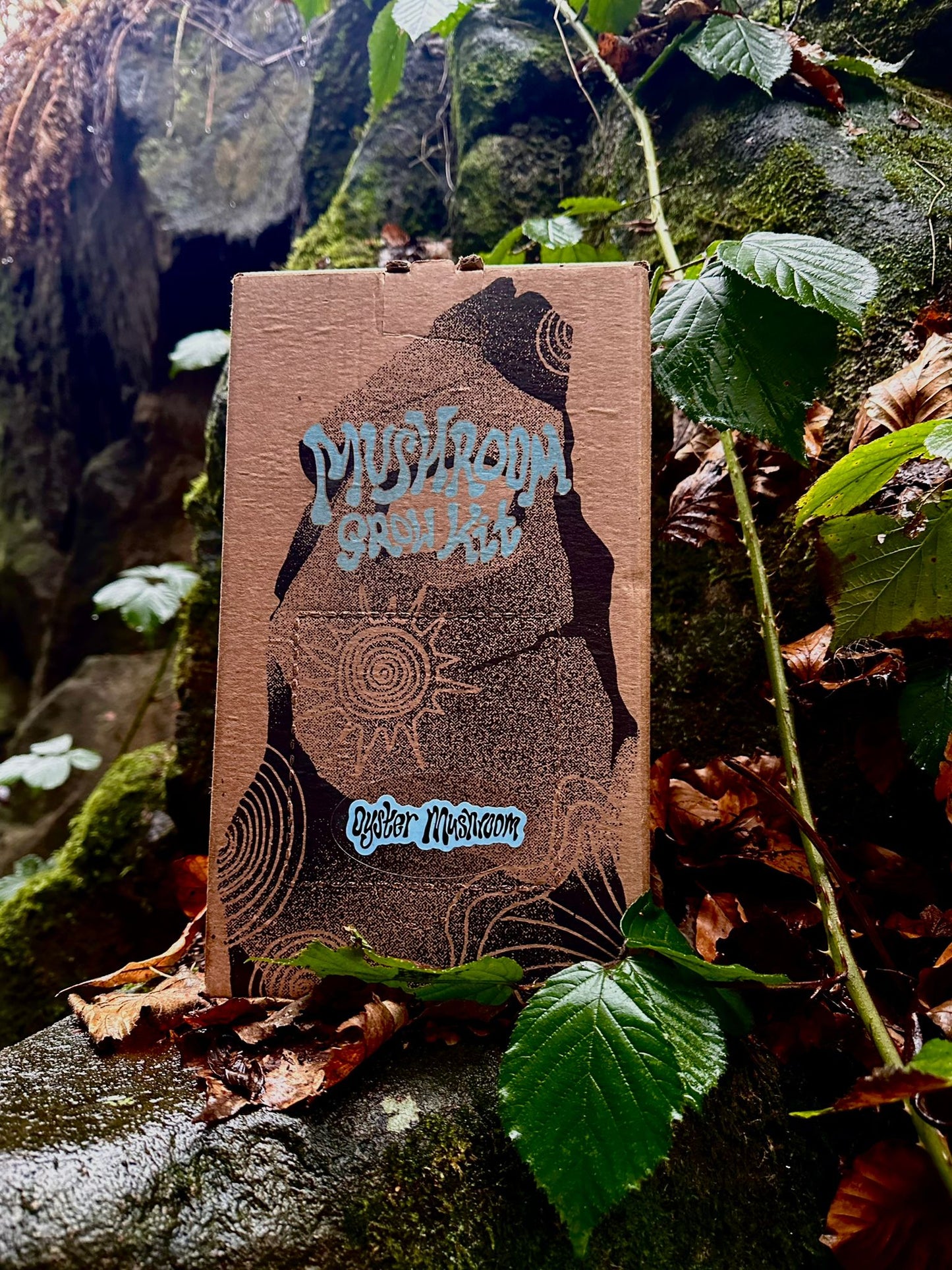 Gourmet Mushroom Grow Kit