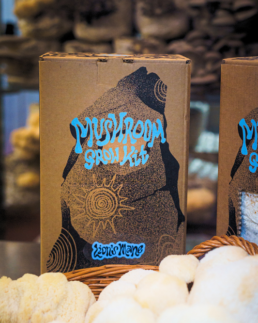 Mushroom Growing Kits: An Easy Beginner’s Guide to Growing Mushrooms at Home
