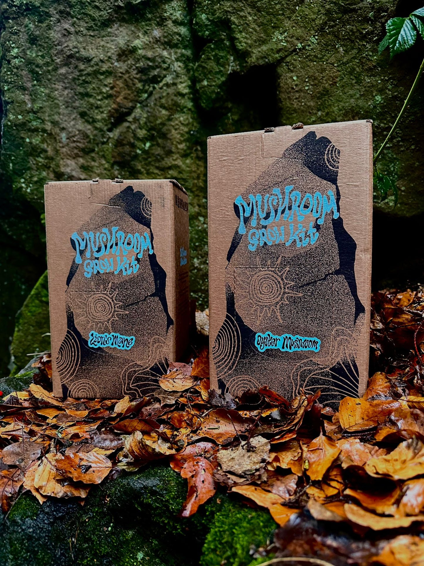 Gourmet Mushroom Grow Kit